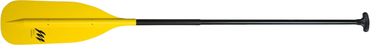 Paddel Moll Trophy ausgeschnitten.png